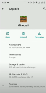 app info minecraft